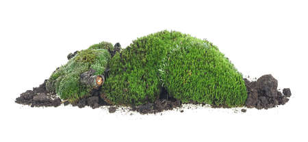 Green moss on soil, dirt pile with grass isolated on a white background. Pile of green moss.の写真素材