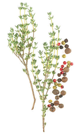 Two thyme sprigs and peppercorns isolated on a white background, top view.の写真素材