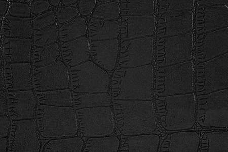 Background of the black skin of a crocodile. Alligator patterned background. Wet crocodile leather pattern.の写真素材