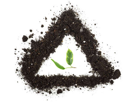 Pile of soil humus and green plant isolated on a white background, top view. Little green plant.の写真素材