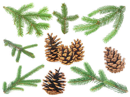 Set of fir tree branches and pine cones isolated on a white background. Christmas decoration.の写真素材