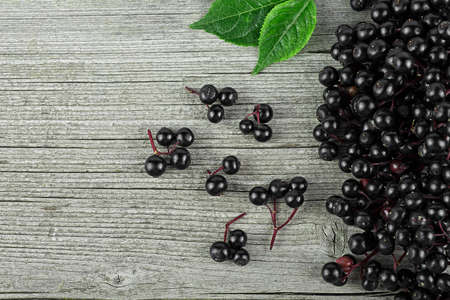 Black elderberry with green leaves on a wooden desk. Elder plant berries. European black elderberry.の写真素材