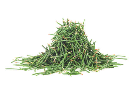 Needles of coniferous trees of a pine and fir-tree isolated on a white background. Pile of needles.の写真素材
