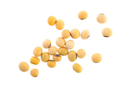 Soybeans isolated on a white background, top view. Dried soybeans.の写真素材