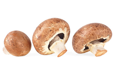 Fresh champignon mushrooms isolated on a white background. Three brown champignons.の写真素材