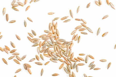 Organic rye grains isolated on a white background, top view.の写真素材