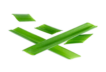 Chopped spring onion or scallion isolated on a white background. Top view.の写真素材