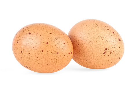 Two brown chicken egg isolated on a white backgroundの写真素材
