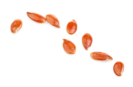 Brown flax seeds isolated on a white background, macro. Small group of linseeds.の写真素材