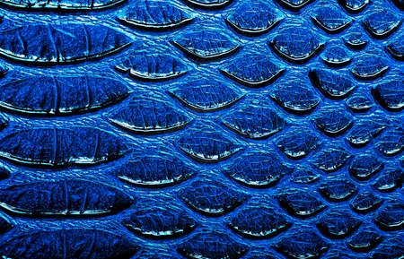 Blue snake skin pattern texture background. Texture of exotic skin. Python leather snake.の写真素材