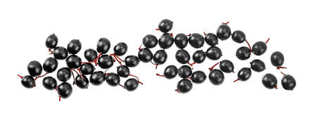 Elderberries isolated on a white background, top view. Sambucus.