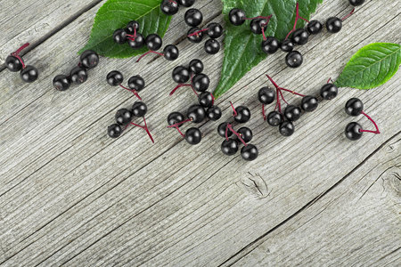 Black elderberry with green leaves on a wooden desk, top view. Elder plant berries. European black elderberry.の写真素材