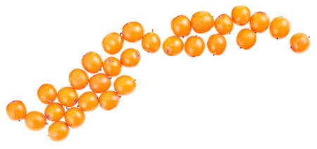 Sea buckthorn berries isolated on a white background, top view.の写真素材