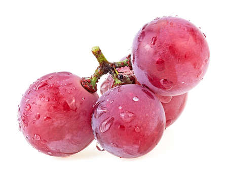 Red grapes with water drops isolated on a white background. Bunch of ripe fresh grapes.の写真素材