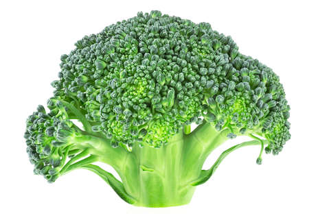 Fresh broccoli cabbage isolated on a white backgroundの写真素材