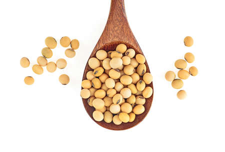 Organic raw soybeans in wooden spoon isolated on a white background. Top view.の写真素材