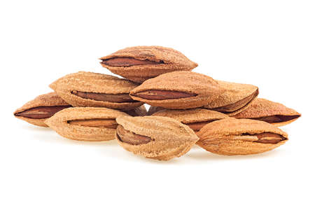 Almond nuts in shell isolated on a white background, front view.の写真素材