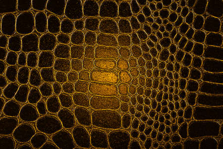 Dark crocodile skin texture in yellow color. Reptile leather imitation texture to background.の写真素材