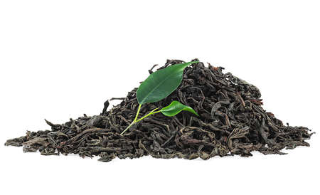 Fresh and dry leaves of tea plant isolated on a white backgroundの写真素材