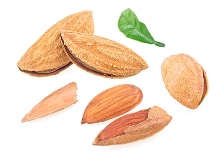 Almond nuts with green leaves isolated on a white background. Almonds in shell.の写真素材