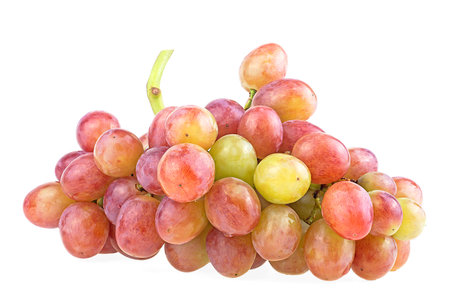 Bunch of red grape fruits isolated on a white background. Fresh ripe juicy grapes.の写真素材
