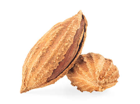 Almond nuts in shell isolated on a white background