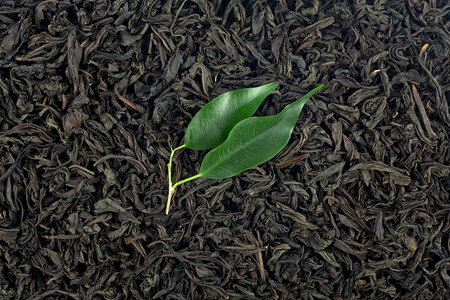 Black Ceylon tea - Top view of black tea background with green leaves. Black tea as background.の写真素材
