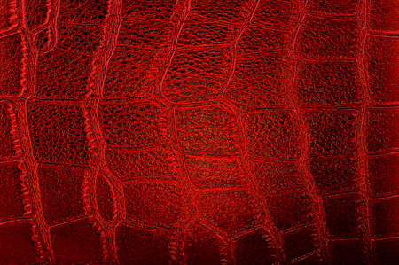 Red crocodile leather skin for background. Texture of alligator pattern.の写真素材