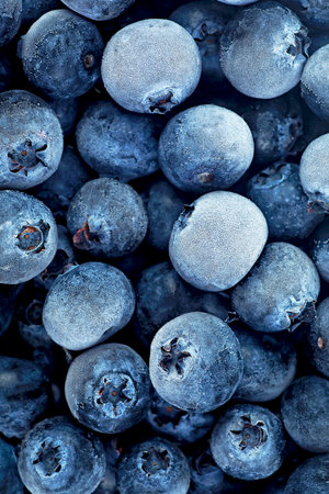 Frozen blueberries covered by frost, top view. Healthy breakfast.の写真素材