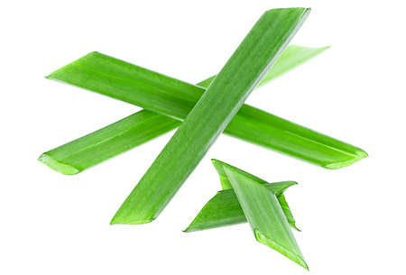 Young green onion leaves isolated on a white background, top view. Green onion herb. Scallion.の写真素材