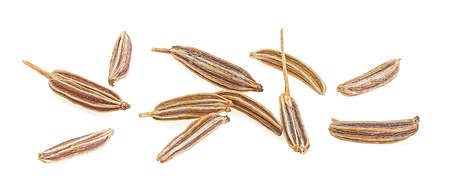 Top view of cumin seeds isolated on a white background, macro. Dried cumin seeds.の写真素材