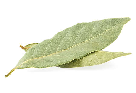 Dried laurel leaves isolated on a white background. Dry bay leaves.の写真素材