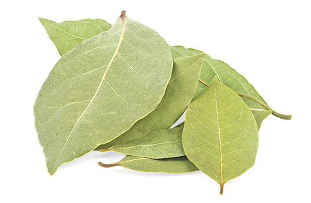 Aromatic dried bay leaves isolated on a white background. Pile of laurel leaves.の写真素材