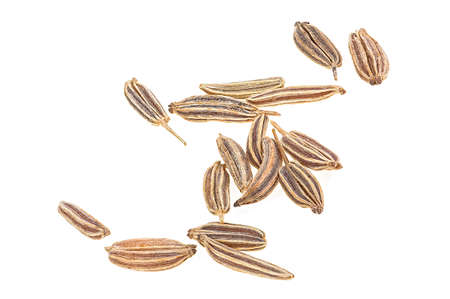 Dried cumin seeds isolated on a white background. Caraway seeds, macro.の写真素材