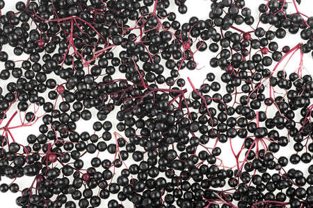 Elderberry background with ripe berries harvested during summer, top view. Alternative medicine and lifestyle.の写真素材