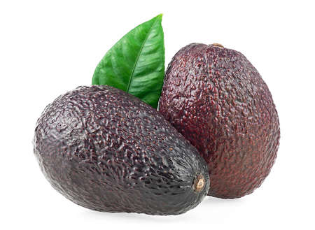 Fresh organic avocado with green leaf isolated on a white backgroundの写真素材