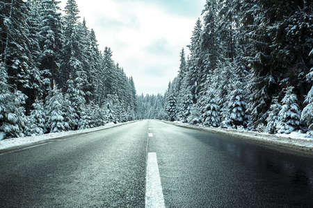 Road in winter forest. Winter landscape with snow covered trees.の写真素材