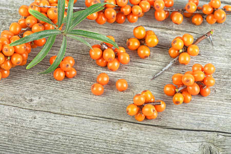 Organic ripe sea buckthorn berries with leaves on vintage wooden background. Fruit background.の写真素材
