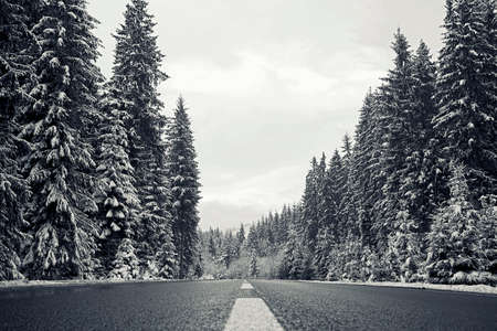 Road in winter forest. Winter landscape with snow covered trees.の写真素材