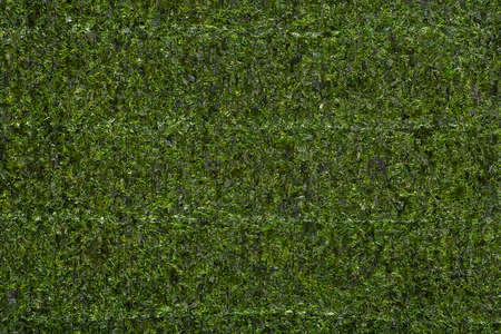 Nori leaf texture. Close-up of nori leaf as background, top view. Appetizer made from kelp.の写真素材