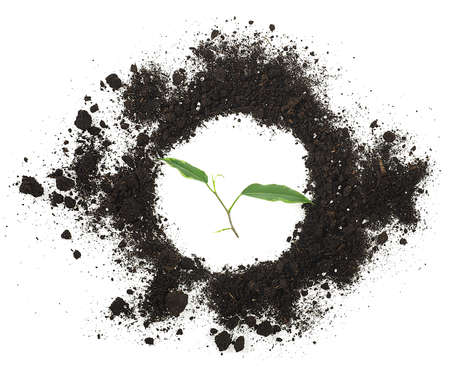 Young green plant and pile of soil isolated on a white background, top view.の写真素材