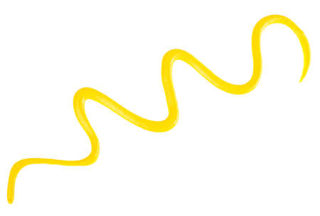 Top view of yellow mustard sauce isolated on a white background.の写真素材