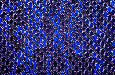 Blue snake skin. Animal leather texture use for background.の写真素材