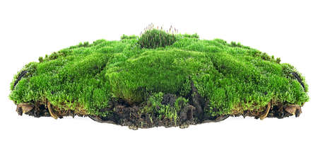 Green mossy hill with grass isolated on a white backgroundの写真素材