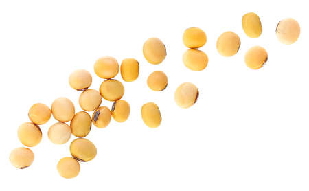 Soybeans isolated on a white background, top view. Dried soybeans.の写真素材