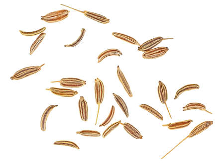 Dried cumin seeds isolated on a white background, top view. Aroma cuisine, macro.の写真素材