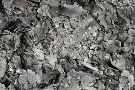 Pieces of burnt paper, as background. Ashes of the paper.の写真素材