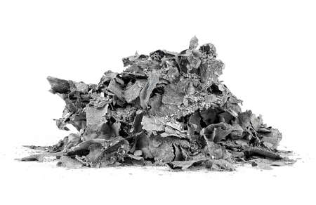 Pile of burnt paper isolated on a white background. Ashes of the paper.の写真素材