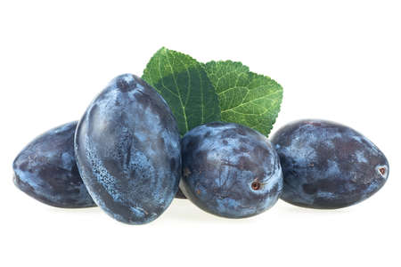 Fresh plum fruits with green leaves isolated on a white background. Group of blue plumes.の写真素材