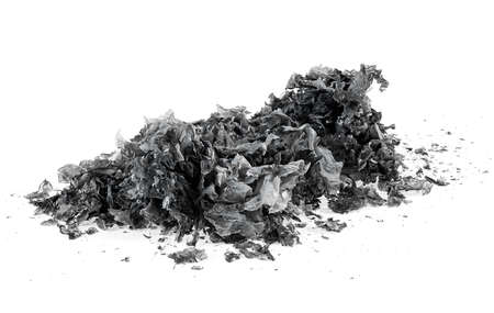 Pile of charred paper isolated on a white background. Burned paper scraps.